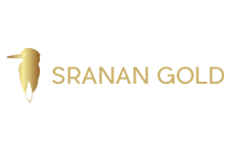 Sranan Gold Corp. (CSE: SRAN) (FSE: P84) (Tradegate: P84) (‘Sranan’ or the ‘Company’) announces additional high-grade results with highlight values of 26.7 grams per tonne (gt) and 25.8 gt gold from grab samples taken from the Poeketi target at the 29,000-hectare Tapanahony Project in Suriname (see Table 1).
The Poeketi target is defined by a series of open pits and shafts created by local small-scale miners. Poeketi is part of the Poeketi-Randy’s Pit gold trend that is based on small-scale mine workings at Poeketi and Randy’s Pit, and is supported by airborne magnetic interpretation and Lidar interpretation (see Sranan’s news release dated June 16, 2025). The trend is over 4.5 kilometres long and is open in both directions (see Figure 1). 
The most recent six grab samples from Poeketi were taken from new underground workings that are located to the northwest of previously sampled workings. These most recent results are similar to the high-grade grab and rock chip samples reported from other underground workings with highlight values of 108 g/t and 84 g/t gold (see Sranan’s new release dated May 15, 2025) that are located 250 metres to the southeast. 
The Poeketi target can now be extended over a strike length measuring approximately 1,000 metres. The mineralization is hosted in fault-filled quartz veins with sulfides in selvages close to highly strained volcanic wall rock. The shear zone at Poeketi is striking west-northwest and is dipping between 70 to 80 degrees to the southwest. 
<b>Table 1: High-grade grab samples from underground workings in north Poeketi.</b>
<b>Sample ID</b>
<b>Easting</b>
<b>Northing</b>
<b>Elevation</b>
<b>Au (g/t)</b>
<b>Rock type</b>
1830839
763065.0
457954.7
59.7
1.9
Fault-filled quartz vein
1830840
763075.8
457956.4
60.7
3.0
Fault-filled quartz vein
1830841
763075.8
457956.4
60.7
2.2
Fault-filled quartz vein
1830842
763068.4
457955.6
60.7
26.7
Fault-filled quartz vein
1830844
763079.0
457957.0
60.9
25.8
Fault-filled quartz vein
1830845
763068.0
457956.0
60.7
1.9
Fault-filled quartz vein
 
Note: Grab samples are selective by nature and may not represent average grades or widths of mineralization at the property.
Dr. Dennis LaPoint, EVP of Exploration and Corporate Development, commented: ‘Having access to the small-scale underground mining is a significant advantage for our exploration efforts. These most recent grab samples extend the Poeketi target to over 1,000 metres, to be tested by trenching and drilling. Furthermore, drill hole 25RADD-001, with 11.5 metres grading 3.64 g/t gold in saprolite (see Sranan’s new release dated September 16, 2025) and trench results (see Sranan’s news releases dated September 9, 2025 and August 7, 2025) from within the Randy’s Pit target area defined over 500 metres to be tested with further trenching and drilling. We believe the Poeketi and Randy’s Pit targets are part of a larger, more robust gold system.’
<b>Figure 1: High-grade grab samples from underground workings north of Poeketi-Randy’s Pit trend.</b>
To view an enhanced version of this graphic, please visit:https://images.newsfilecorp.com/files/10997/269319_c35d3b7b8407f973_001full.jpg
Sranan had encountered mechanical issues with the diamond core rig deployed at Randy’s Pit. These issues have been resolved and Sranan is currently drilling just north of Randy’s Pit.
Samples are prepared and assayed by Filab in Paramaribo, Suriname. All samples >2 g/t were re-assayed with 50 gm re-assay and gravimetric assay. Standard QA/QC procedures were followed which showed a satisfactory level of reproducibility. Grab samples indicate promising evidence of high-grade gold. Channel sampling, trenching and drilling are the steps to determine average grade and thickness. The Company notes that grab samples are selected samples and may not represent true underlying mineralization.
<b>Qualified Person</b>Dr. Dennis J. LaPoint, Ph.D., P.Geo., a ‘qualified person’ as defined under National Instrument 43-101, has reviewed and approved the scientific and technical information contained in this release. Dr. LaPoint is not independent of Sranan Gold, as he is the Company’s EVP of Exploration and Corporate Development.
<b>About Sranan Gold</b>Sranan Gold Corp. is engaged in the business of mineral exploration and the acquisition of mineral property assets in Suriname and Canada. The Company’s flagship Tapanahony Project covers 29,000 hectares in one of Suriname’s most prolific artisanal gold mining districts. Sranan also owns the Aida Property in the Kamloops Mining Division, British Columbia, Canada.
For more information, please visit sranangold.com.
<b>Information contact</b>Oscar Louzada, CEO+31 6 25438975
<i>THE CANADIAN SECURITIES EXCHANGE HAS NOT APPROVED NOR DISAPPROVED THE CONTENT OF THIS PRESS RELEASE.</i>
<b>Forward-looking statements </b>
Certain statements in this release constitute ‘forward-looking statements’ or ‘forward-looking information’ within the meaning of applicable securities laws including, without limitation, the timing, nature, scope and details regarding the Company’s exploration plans and results at its projects. Such statements and information involve known and unknown risks, uncertainties and other factors that may cause the actual results, performance or achievements of the Company, its projects, or industry results, to be materially different from any future results, performance or achievements expressed or implied by such forward-looking statements or information. Such statements can be identified by the use of words such as ‘may’, ‘would’, ‘could’, ‘will’, ‘intend’, ‘expect’, ‘believe’, ‘plan’, ‘anticipate’, ‘estimate’, ‘scheduled’, ‘forecast’, ‘predict’ and other similar terminology, or state that certain actions, events or results ‘may’, ‘could’, ‘would’, ‘might’ or ‘will’ be taken, occur or be achieved. These statements reflect the Company’s current expectations regarding future events, performance and results and speak only as of the date of this release. Further details about the risks applicable to the Company are contained in the Company’s public filings available on SEDAR+ (www.sedarplus.ca), under the Company’s profile. 
Forward-looking statements and information contained herein are based on certain factors and assumptions regarding, among other things, the estimation of mineral resources and reserves, the realization of resource and reserve estimates, metal prices, taxation, the estimation, timing and amount of future exploration and development, capital and operating costs, the availability of financing, the receipt of regulatory approvals, environmental risks, title disputes and other matters. While the Company considers its assumptions to be reasonable as of the date hereof, forward-looking statements and information are not guarantees of future performance and readers should not place undue importance on such statements as actual events and results may differ materially from those described herein. The Company does not undertake to update any forward-looking statements or information except as may be required by applicable securities laws.
To view the source version of this press release, please visit https://www.newsfilecorp.com/release/269319
News Provided by Newsfile via QuoteMedia
This post appeared first on investingnews.com Sranan Gold Samples Up To 26.7 Grams Per Tonne Gold in The Poeketi Pit Area of The Tapanahony Project in Suriname